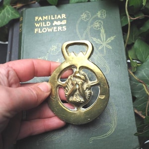 May include: A brass horse brass with a central design, held in a hand. The horse brass is circular with a loop at the top. The background includes a green book with gold lettering that reads "FAMILIAR WILD FLOWERS".