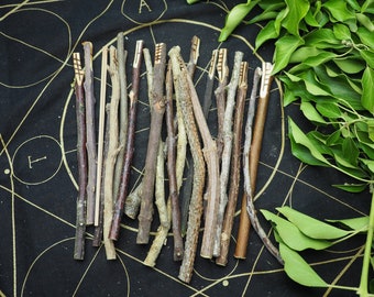 Long Celtic Tree Ogham Set for divination - Made with Corresponding Woods - Pagan, Wicca, Witchcraft