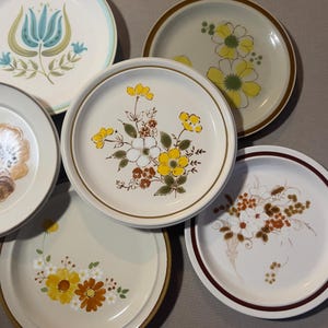 Set of 4 Mix and Match Vintage Stoneware Dinner plates.