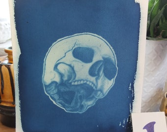 Human Skull Cyanotype