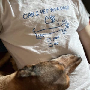 Can I pet your dog?