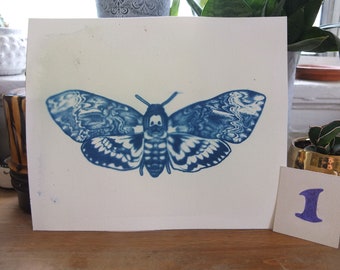 Death's Head Moth Cyanotype