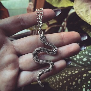 Snake & chain necklace