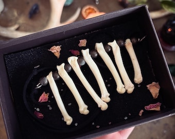 コヨーテの骨のネックレス