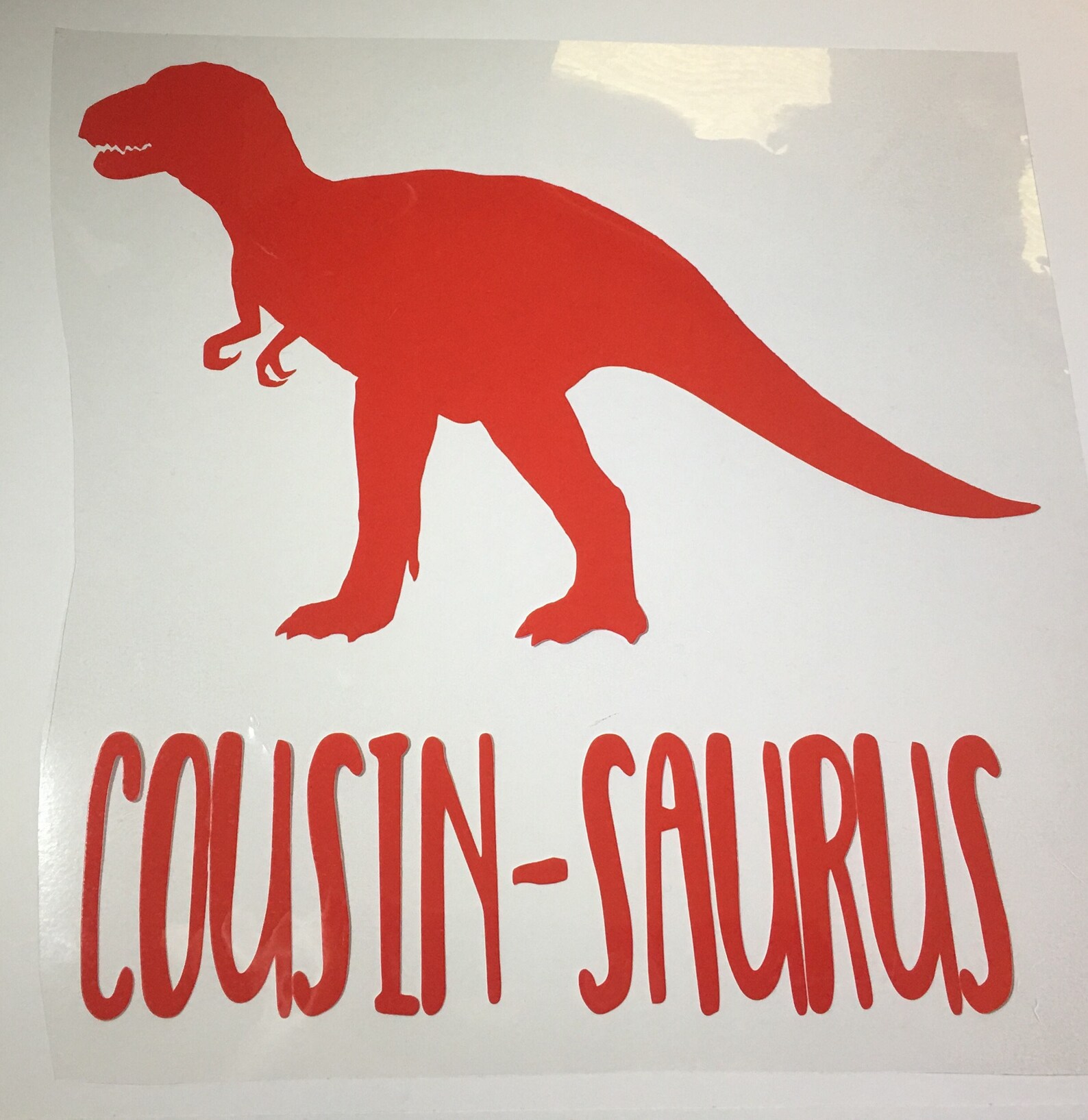 Iron on Dinosaurs / Dinosaurs Decal / Dinosaurs Iron on Decal Etsy