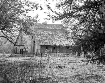 Neighbors Barn BW - Spring Barn Photo, Country Decor, Wall Art, Old Barn Photography, Nebraska, Farm Decor, Country Landscape, black white