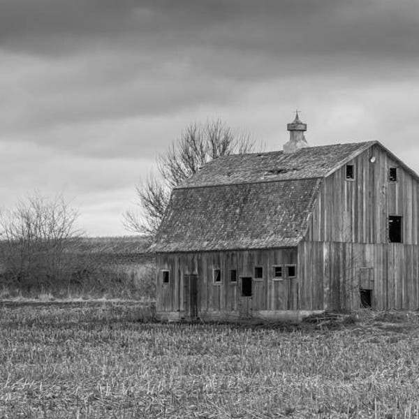 Black and White, Spring Barn Photo, Country Decor, Wall Art, Old Barn Photography, Iowa Farm, Spring Farm Decor, Country Landscape