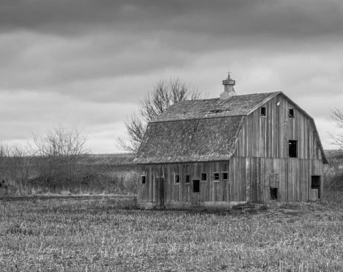 Black and White, Spring Barn Photo, Country Decor, Wall Art, Old Barn Photography, Iowa Farm, Spring Farm Decor, Country Landscape