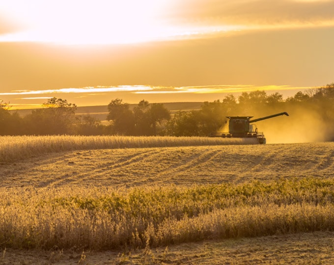 October Harvest - Harvest Photo, Country Decor, Wall Art, Combine, Nebraska Farm Photography, Autumn Farm Decor, Country Landscape, Fields