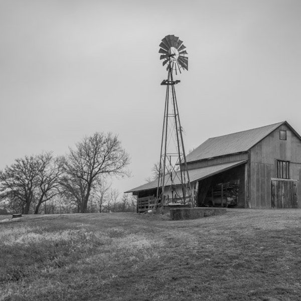 Standing Tall Black and White - Winter Red Barn Photo, Country Decor, Old Barn Decor, farm decor, Old Decor, Barn Decor