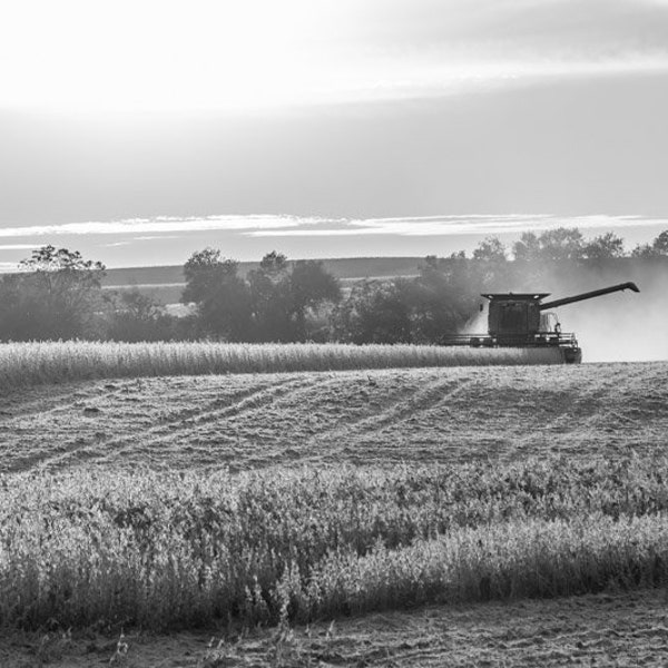 October Harvest Black & White - Country Decor, Wall Art, Combine, Nebraska Farm Photography, Autumn Farm Decor, Country Landscape, Fields