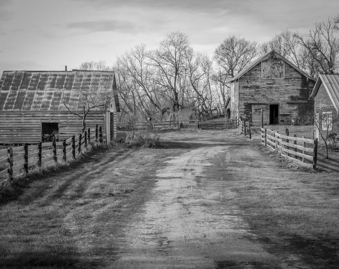 Old Farmer's Lane Black and White - Red Barns, Country Decor, Old Barn Decor, Nebraska, Farm Decor, Country Decor, Old Barns