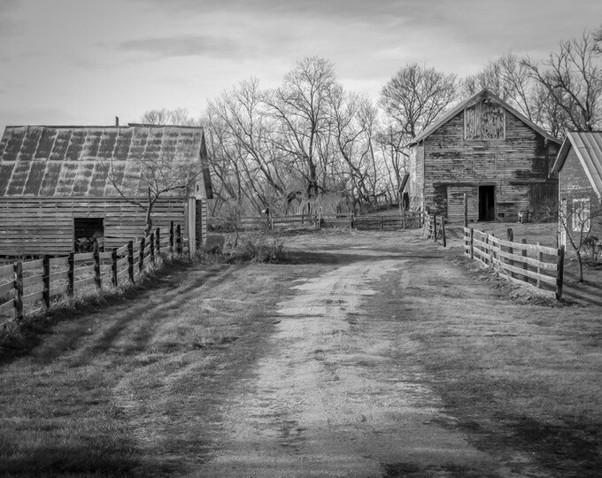 Old Farmer's Lane Black and White - Red Barns, Country Decor, Old Barn Decor, Nebraska, Farm Decor, Country Decor, Old Barns