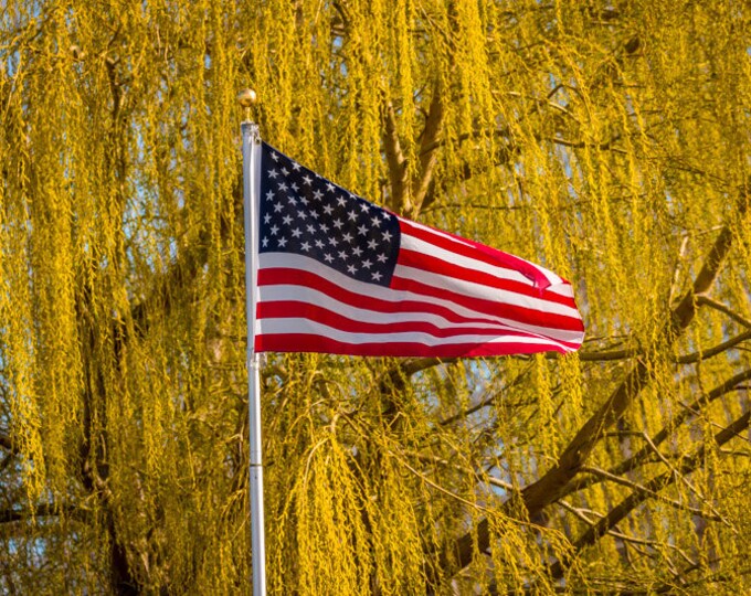 Old Glory Photo, Country Decor, Wall Art, Flag Photography, USA, US Flag  Decor, Country Landscape, Flying Flag, American Flag