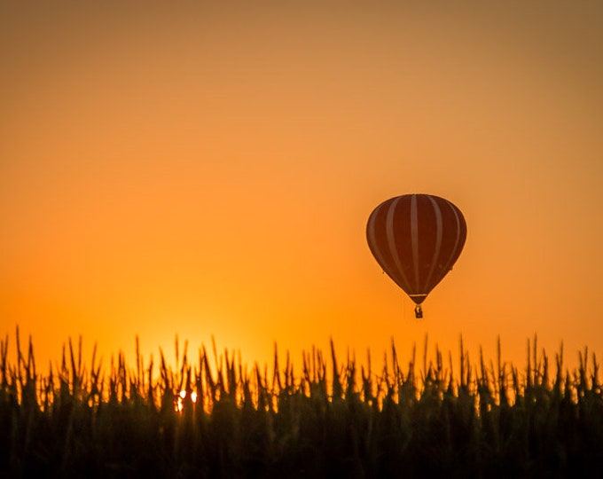 Hot Air Balloon, Corn Field, Country Decor, Summer Farm Decor, Fields, Rural America, Country Living, Sunset
