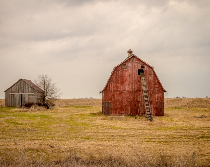 Barn Friends - Winter Red Barn Photo, Country Decor, Farm Art, Old Barn Photography, Iowa Farm, Winter Farm Decor, Country Decor, Iowa