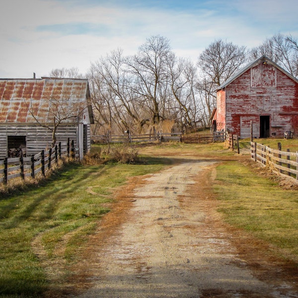 Farmer's Lane - Fall Red Barn Photo, Country Decor, Wall Art, Old Barn Photography, Nebraska, Farm Decor, Country Landscape, Old Barns