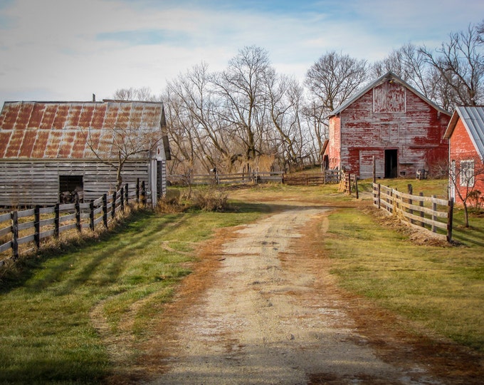Farmer's Lane - Fall Red Barn Photo, Country Decor, Wall Art, Old Barn Photography, Nebraska, Farm Decor, Country Landscape, Old Barns