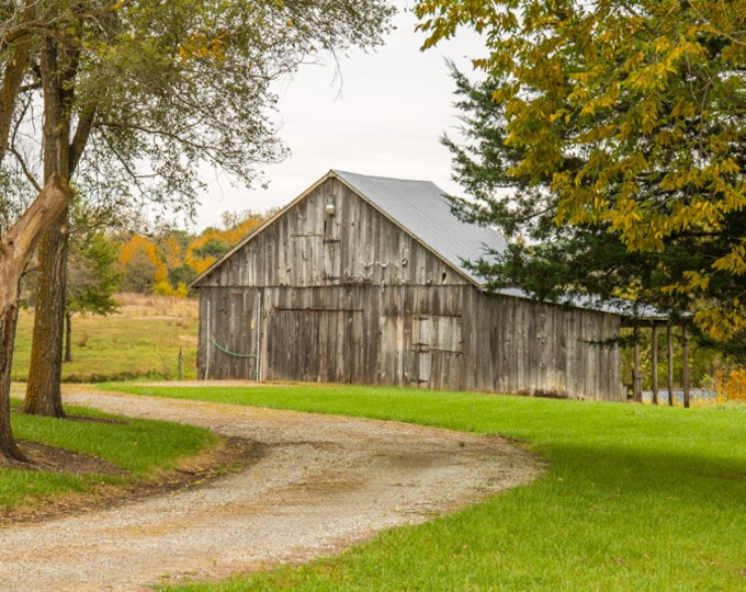 Antler Barn - Fall White Barn Photo, Country Decor, Wall Art, Old Barn Photography, Missouri Farm, Autumn Farm Decor, Country Landscape