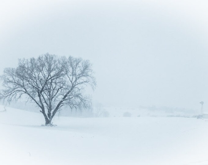 Bella's Winter Tree #1 - Snow, Country Decor, Wall Decor, Tree Photography, Winter Decor, Country Landscape, Solitary Tree, Windmill