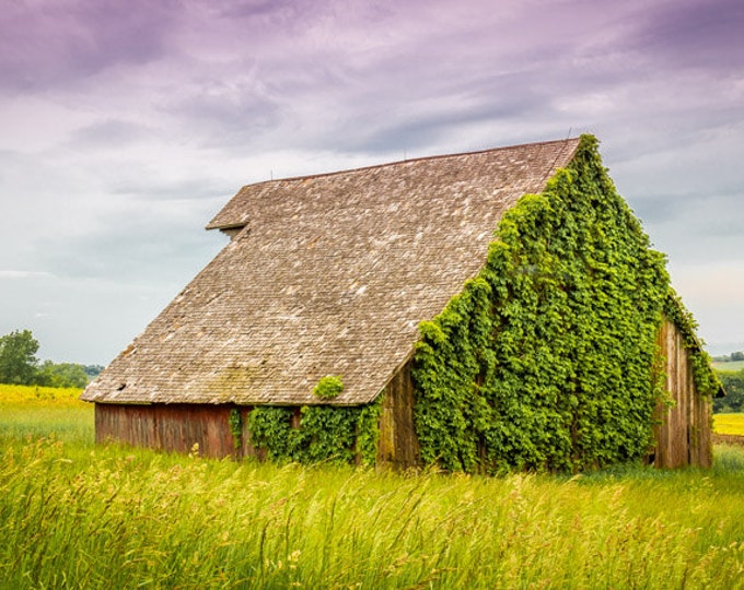 Irish Barn - Fall Red Barn Photo, Country Decor, Farm Art, Old Barn Photography, Iowa, Autumn Farm Decor, Farm Decor, Old Decor, Barn Decor