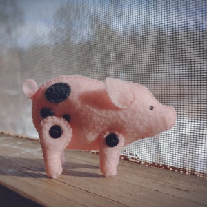 Felt Pig