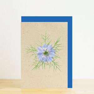 Azul nigella, minitarjeta De amor en la niebla, tarjeta en blanco, sobre azul, impresión fotográfica ecológica