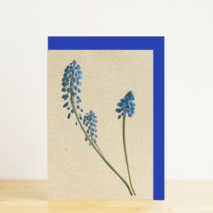 Blaue Muscari / Trauben Hyazinthe, Frühlingsblumen Grußkarte, Karte, leere Karte A6, Eco-freundlich-Fotografie-Druck, Geschenkpapier