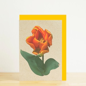 Orange Tulpe, Frühling Blume leere Karte, A7/A6 leere Karte, botanische Druck, Blumendruck, umweltfreundliche fotografische Druck, Recycling-Karte