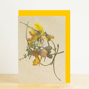 Cartão de botões de ouro, dentes de leão e margaridas com envelope amarelo, cartão A7/A6, impressão fotográfica ecológica, cartão reciclado, envelope reciclado