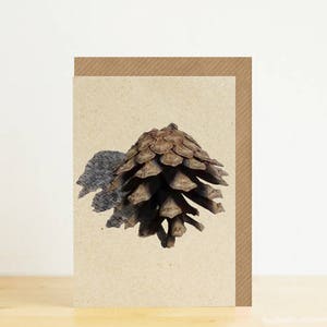 Cartão em branco de pinha com envelope kraft, cartão A7, impressão fotográfica ecológica, cartão reciclado, envelope reciclado