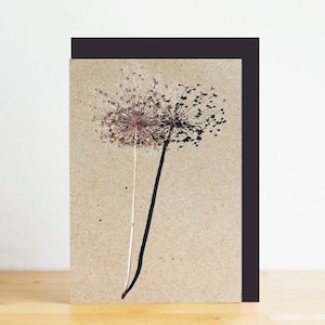 Allium seco, cartão em branco com impressão de outono e envelope preto reciclado, impressão de fotografia da natureza ecológica, cartão reciclado
