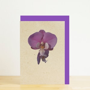 Carte mini orchidée violette, carte, enveloppe violette, eco friendly impression photographique
