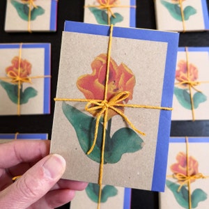 チューリップのノートカード 5 枚セット、春の花のノートレット、環境に優しい写真プリント、リサイクルカード、リサイクル封筒、花の写真ギフトカード