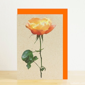 Cartão de flor em branco com rosa laranja e envelope laranja, cartão A7/A6, impressão fotográfica ecológica, cartão reciclado, envelope reciclado