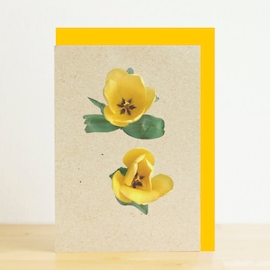 Cartão em branco com tulipa amarela de flores de primavera com envelope amarelo reciclado, impressão fotográfica ecológica, cartão reciclado