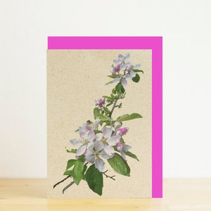 Kirschblüte Frühling Blumenkarte, Muttertagskarte, rosa Umschlag, umweltfreundliche Fotodruck, Recycling-Karte, Recycling-Umschlag