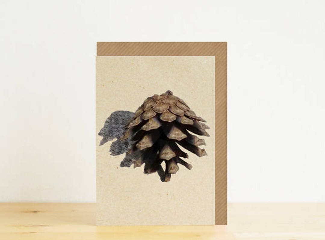 Pine Cone Blank Card With Kraft Envelope, A7 Card, Eco Friendly ...