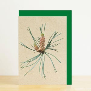 Cartão em branco com pinhas escocesas e envelope verde, cartão A6/A7, impressão fotográfica ecológica, cartão reciclado, envelope reciclado