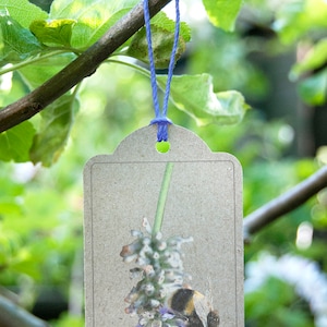 Lavanda e abelha, Conjunto de 5 etiquetas de presente, cartão reciclado, impressão fotográfica, ecologicamente correto