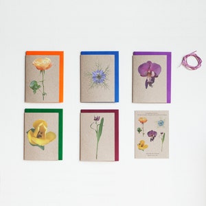 Flower Notelets, 5 Blank Photo Note Cards With 5 Coloured Envelopes ...