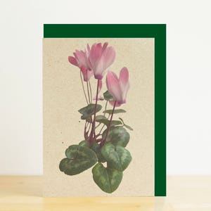 Alpenveilchen-Grußkarte, Cyclamen print, botanische print, grüne Recycling Umschlag, Eco freundliche Natur Fotografie print, Recycling-Karte
