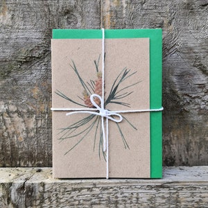 Cadernos de inverno, 5 cartões de notas fotográficas em branco com 5 envelopes coloridos, cartão reciclado, impressão fotográfica, ecológico, botânicos de inverno
