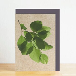 Hêtre feuilles carte de voeux, la nature botanique, imprimé vert, impression enveloppe recyclée, eco friendly nature photographie impression, recyclé carte