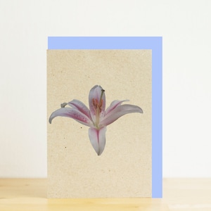 Biała karta mini Lily, pusta karta, koperta niebieski proszek, Eco Friendly fotograficzne Print