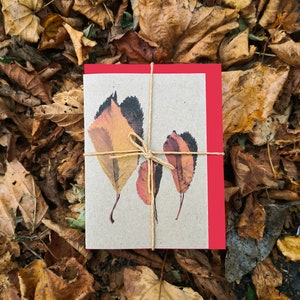 Herbst-Notizlets, 5 leere Foto-Notiz-Karten mit 5 farbigen Umschlägen, Recycling-Karte, fotografischen Druck, umweltfreundlich, Herbst Blätter