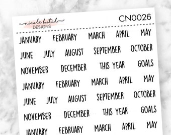 TRANSPARENT Mini Months of the Year Mini Text Planner Stickers - Functional Stickers - Script - Matte Removable || CN0026