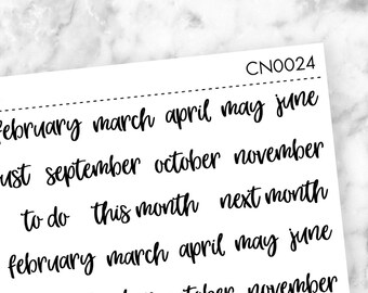 TRANSPARENT Small Months of the Year Script Word Planner Stickers - Functional Stickers - Script - Matte Removable || CN0024