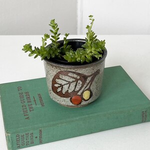 May include: A speckled ceramic planter with a brown leaf and berry motif containing a green succulent plant, resting on a green hardcover book titled A Field Guide to the Birds by Peterson, featuring clear black text on the spine and front cover.