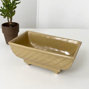 May include: A rectangular, tan-colored planter with a textured, quilted design on the sides. The planter has four small feet and a glossy finish. A small potted plant with green leaves is in the background.